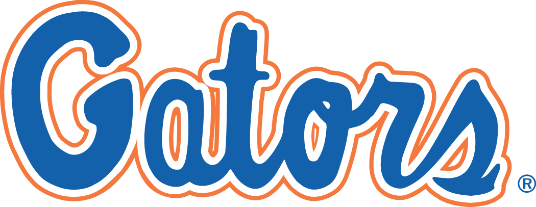Florida Gators 1979-Pres Wordmark Logo v2 DIY iron on transfer (heat transfer)